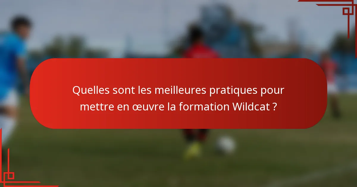 Quelles sont les meilleures pratiques pour mettre en œuvre la formation Wildcat ?
