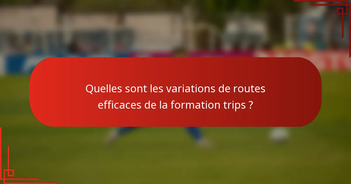 Quelles sont les variations de routes efficaces de la formation trips ?