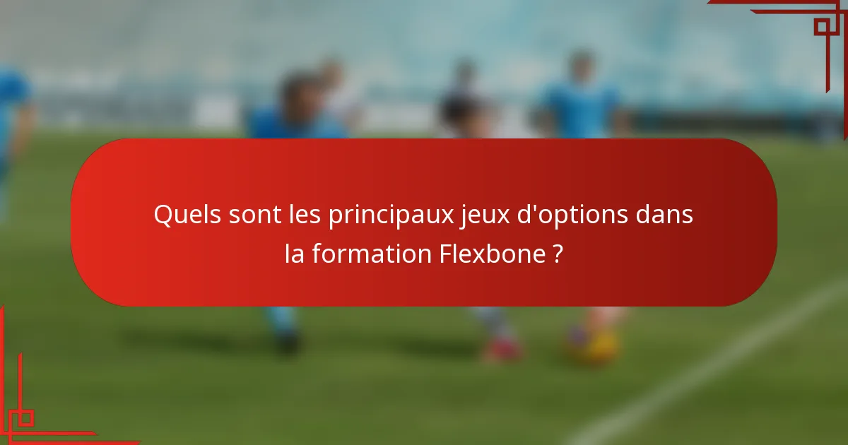 Quels sont les principaux jeux d'options dans la formation Flexbone ?